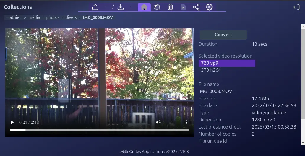 Screenshot of video details and viewer Collections 2 Screenshot